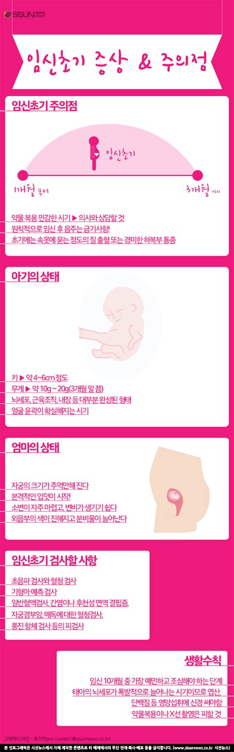 임신초기 증상과 주의 점 알아보기 인포그래픽 시선뉴스