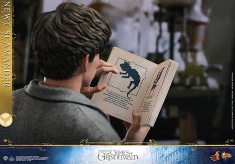 Hot Toys Mms Newt Scamander