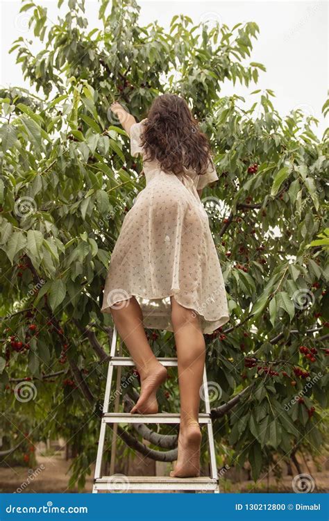 Stunning Brunette Beauty In Garden On Nature Outdoors Stock Photo Image Of Beautiful Berry