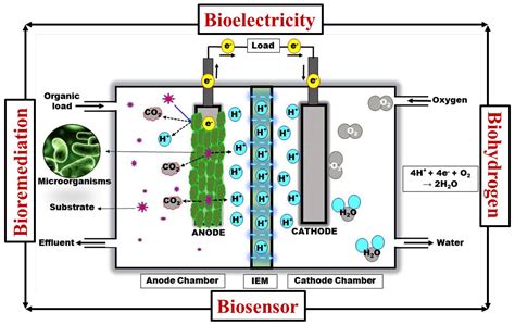 Polymers Free Full Text Effect Of Sulfonated Inorganic Additives