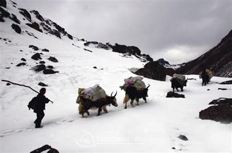 Sherpa people, Mt. Everest guide