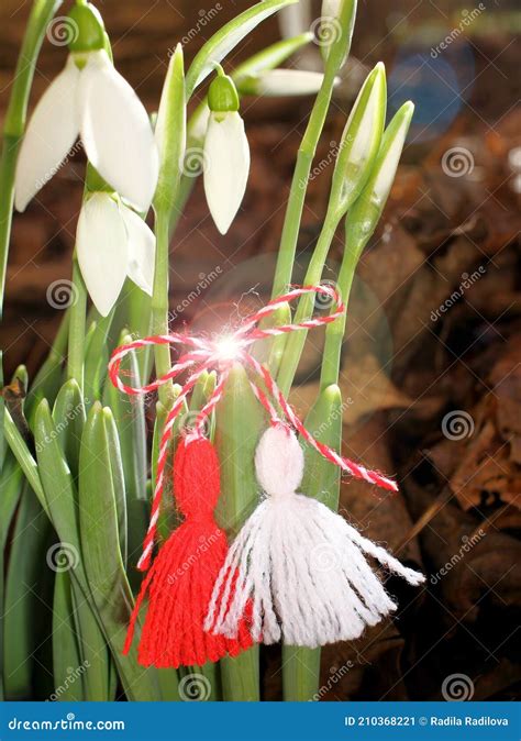 Snowdrops and Martenitsa. Symbols of Spring. White Snowdrop Flowers and ...