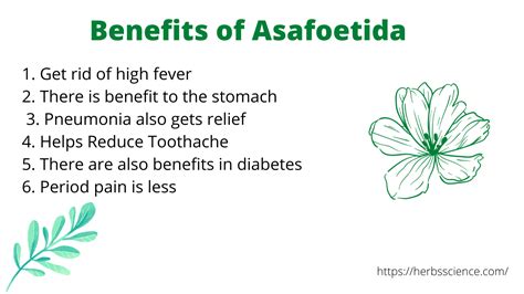 Benefits and Side Effects of Asafoetida - Herbs Science