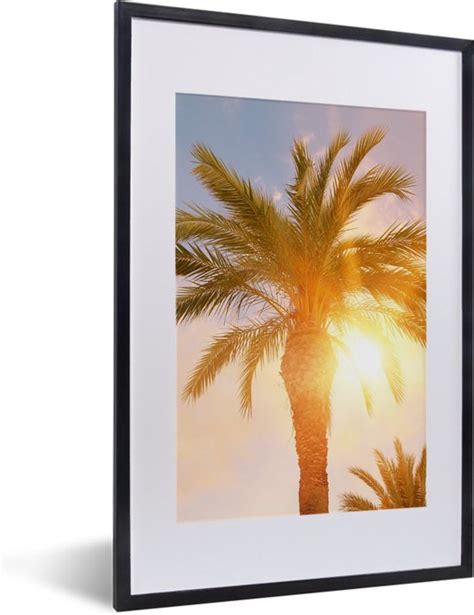 Fotolijst Incl Poster Palmboom Zomer Zon Tropical X Cm