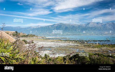 Kaikoura Peninsula, South Island, New Zealand Stock Photo - Alamy