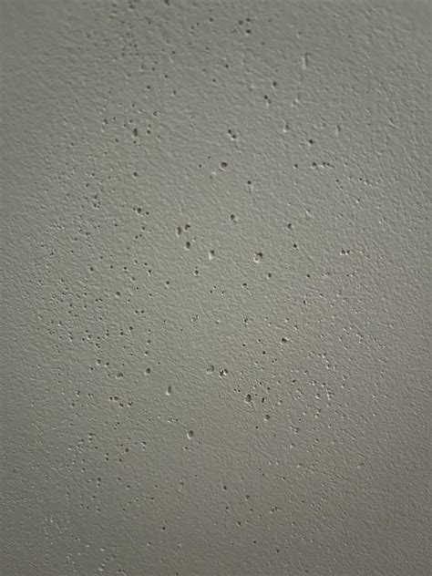 Does this mean I have termites? : r/Termites