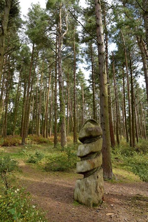 Parque Da Escultura No Cargo De Webbers Exmoor Devon Norte Foto De