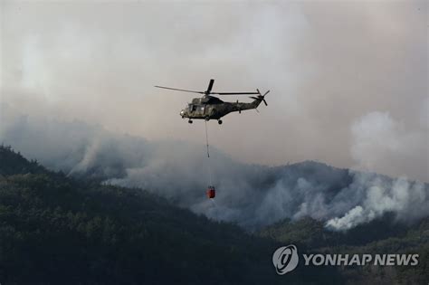 대응 3단계 함평·순천 산불 이틀째 난항종합 나무뉴스