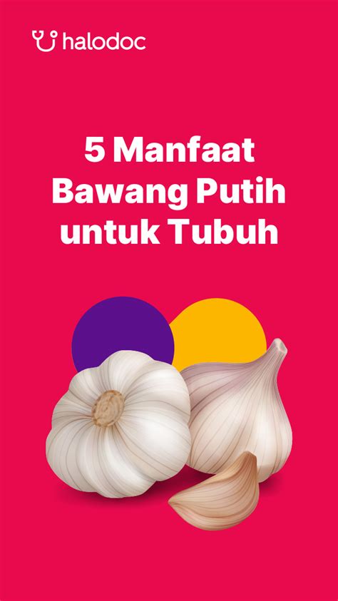 Cegah Kanker Hingga Turunkan Tekanan Darah Ini 5 Khasiat Bawang Putih