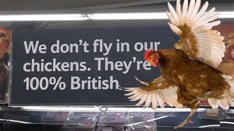 Tesco Apologises After Shopper Spots Bizarre Sign About Chickens