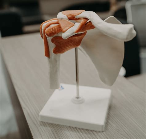 Total Joint Replacement — Valley Orthopaedic Bone & Joint