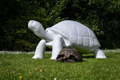 2023 Tortoise Sculpture Trail - Channel 103