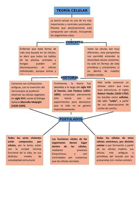 Mapa Conceptual De La Teor A Celular Concepto Historia Postulados La