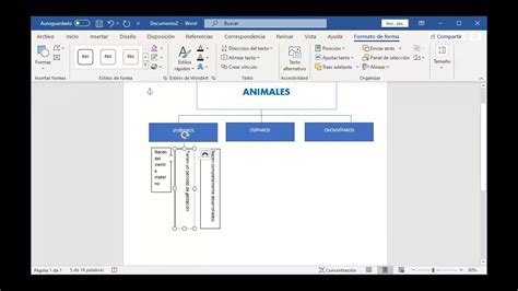 Como Son Los Mapas De Medusa