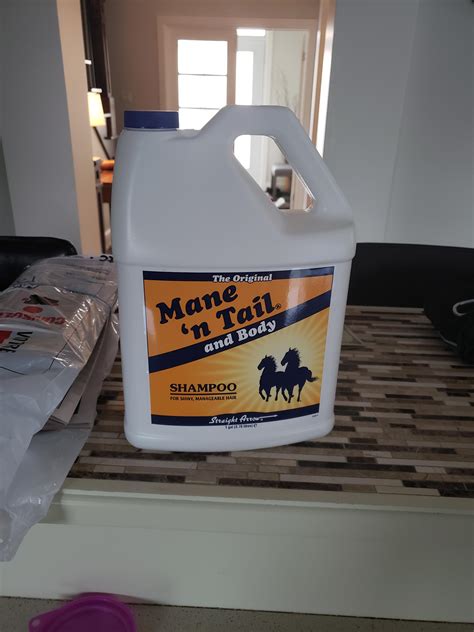 My sister bought this for our dog : r/Mizkif