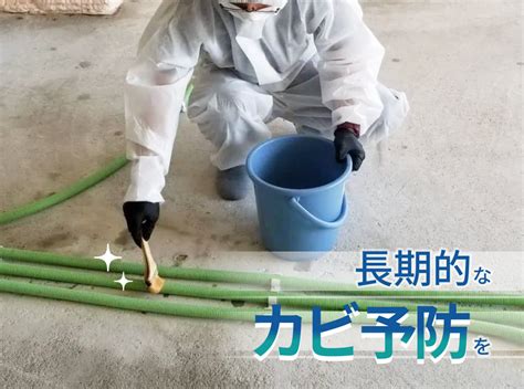 カビ掃除の完全ガイド：効果的な方法と再発防止策で快適な住環境を守る！ カビ予防やカビ除去にまつわるコラムをスタッフが執筆 カビ取り