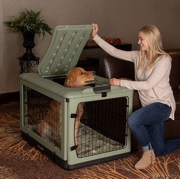 Best 5 Large Collapsible Dog Crates With Easy Folding System - Petovly