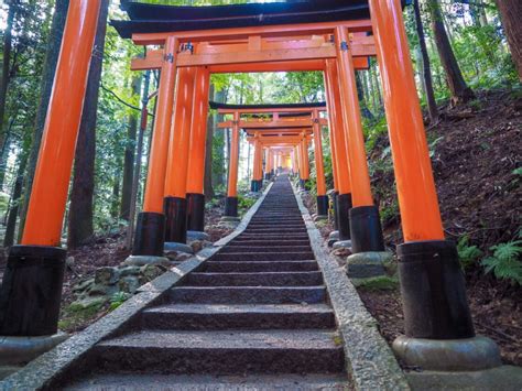 Fushimi Inari Trail - Orange Gates - Kyoto - Blog - Trailchew