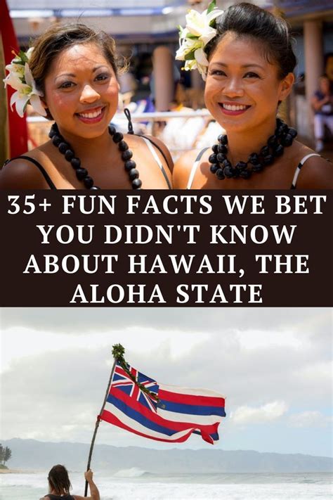10 Amazing Facts About Anonib Hawaii You Never Knew. - ckt8ago