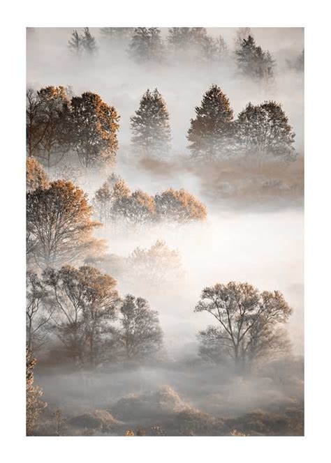 Autumn Forest Plakat Natur Gallerix Home Dk