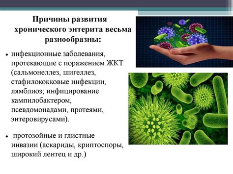 Сестринский уход при хронических заболеваниях кишечника - презентация ...