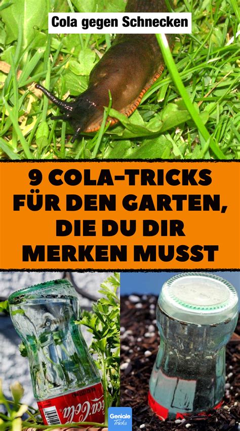 9 Cola Hacks für den Garten du dir merken musst in 2021 Cola