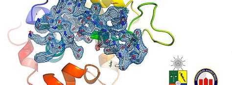 2nd Workshop of crystallization and protein crystallography | Society ...