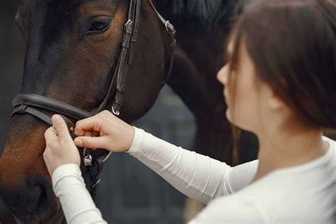 Wyposażenie konia co warto wiedzieć Sprawdza się w sporcie