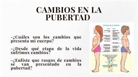 Cambios En La Pubertad