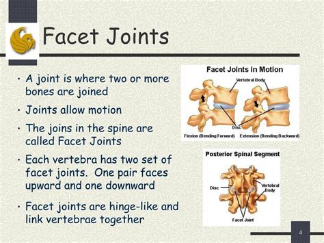 Ppt Computer Aided Diagnosis System For Lumbar Spinal Stenosis Using X Ray Images Powerpoint