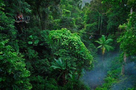 Top Things To Do In The Daintree Rainforest Queensland Australia