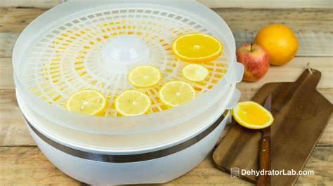 How To Dehydrate Citrus Using A Food Dehydrator In 2025