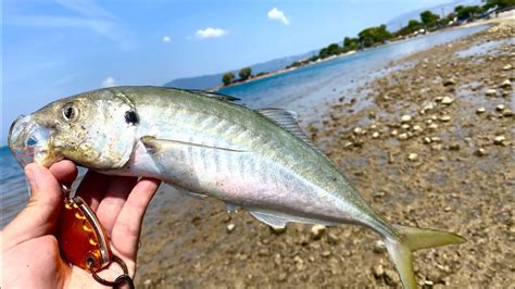 Lrf Fishing In Greece Youtube