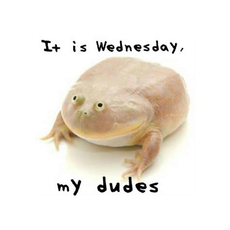 wednesday  dude wallpaper engine