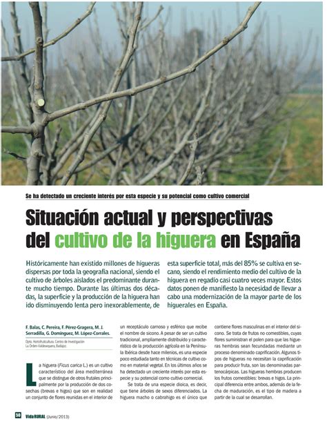 Pdf Situaci N Actual Y Perspectivas Del Cultivo De La Higuera En Espa A