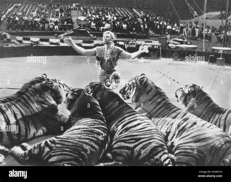 Ringling Bros Y Barnum And Bailey Circo Gunther Gebel Williams 1969