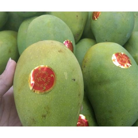 Jual Buah Mangga Harum Manis Kg Shopee Indonesia