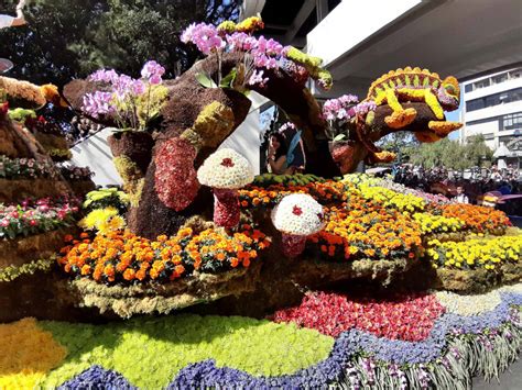 Panagbenga Festival Flowers