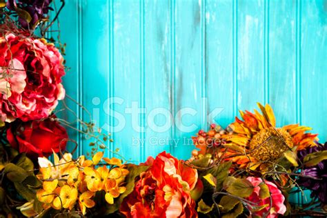 Blue Background With Fall Flowers Stock Photo | Royalty-Free | FreeImages