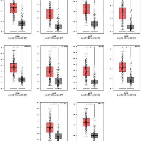 Expression Levels Of The Hub Genes In The Tumor And Normal Tissues The