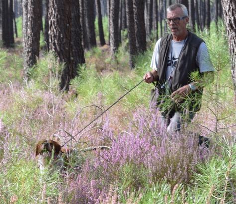 Accueil Elevage Du Clan Des Perdrix Eleveur De Chiens Epagneul Breton