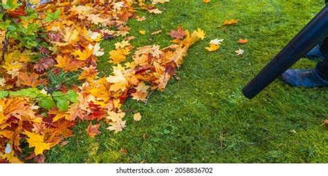 Mouth Leaf Blower Mens Hands Stream Stock Photo 2058836702 | Shutterstock