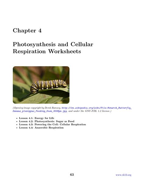 Cellular Respiration And Photosynthesis Worksheet