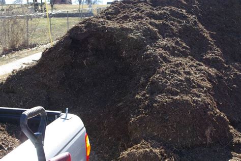 It's Not Work, It's Gardening!: The loneliest mulch pile