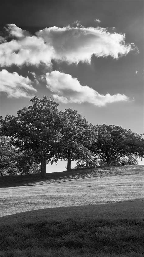 Black And White Trees Plain Grass Field Landscape Clouds Sky Background 4k Hd Nature Wallpapers