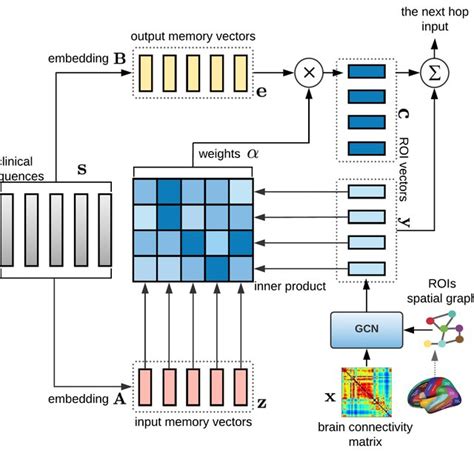 Memory-based Graph Convolutional Network for brain connectivity graphs... | Download Scientific ...