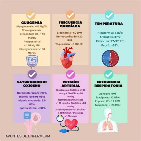 Signos Vitales Adulto Udocz Signos Vitales Apuntes De Clase Signos