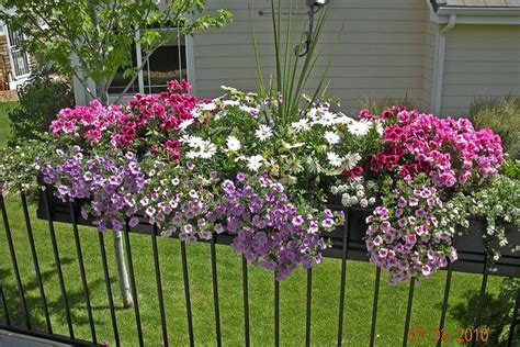 Window Box Contest Entry Planter On Deck Railing Railing Flower Boxes