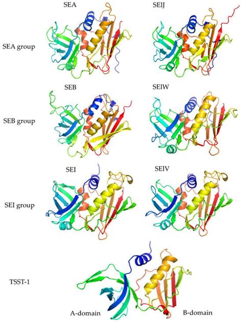 Ijms Free Full Text Molecular Characteristics And Pathogenicity Of