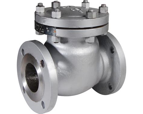 Cast Steel A Wcb Swing Check Valve Rf Ansi Syveco